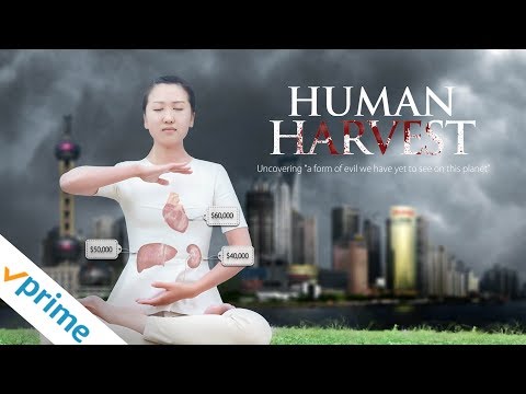 Human Harvest | Trailer | Available now