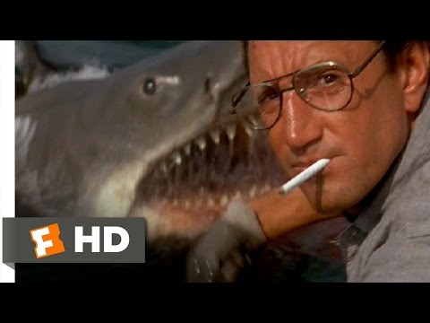 Jaws (1975) - You&#039;re Gonna Need a Bigger Boat Scene (4/10) | Movieclips