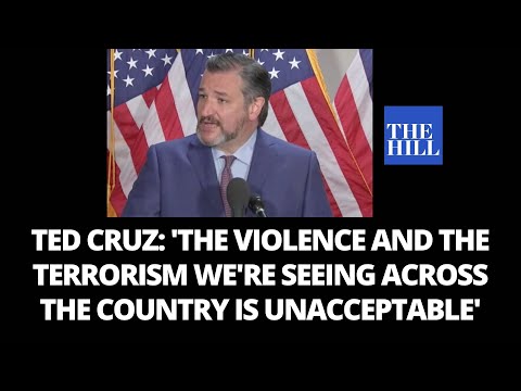 Ted Cruz calls out Antifa, slams violence, riots