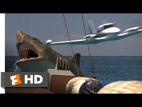 Jaws: The Revenge (6/8) Movie CLIP - Come and Get Me (1987) HD