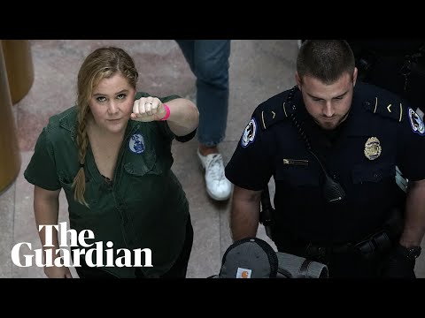 Amy Schumer arrested at Kavanaugh protest