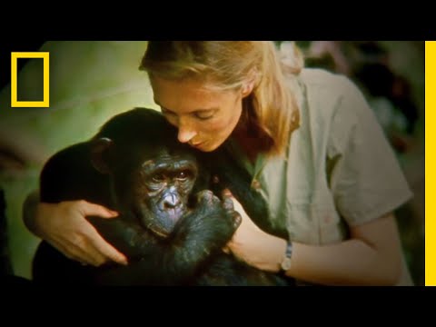 Official Film Trailer: JANE | National Geographic