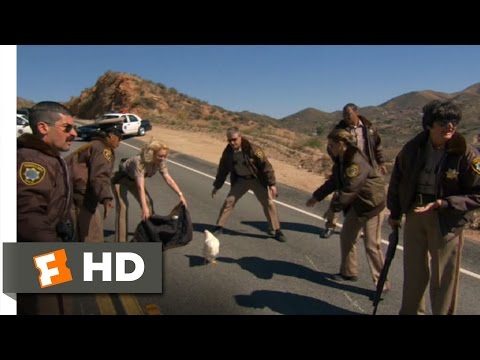 Reno 911!: Miami (2/10) Movie CLIP - Stop, Chicken, Stop! (2007) HD