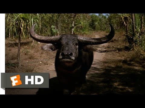 Crocodile Dundee (5/8) Movie CLIP - Mind Over Matter (1986) HD