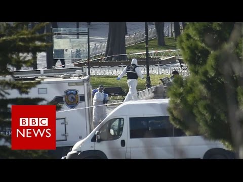 Turkey: &#039;IS suicide bomber&#039; kills 10 in Istanbul Sultanahmet district - BBC News