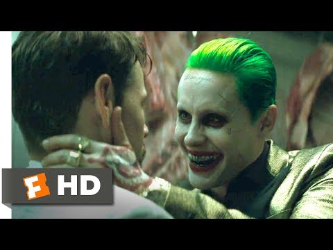 Suicide Squad (2016) - A Visit From The Joker Scene (2/8) | Movieclips