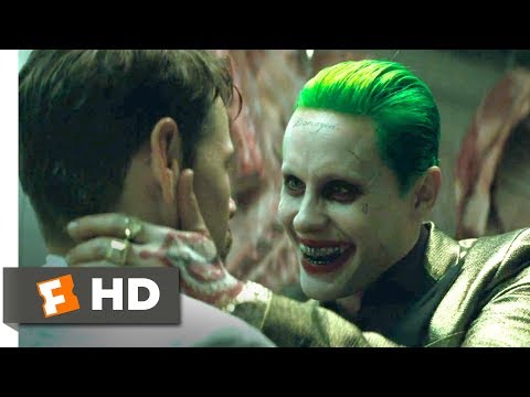 Suicide Squad (2016) - A Visit From The Joker Scene (2/8) | Movieclips