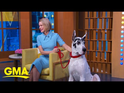 Naomi Watts discusses her new film, &#039;The Friend&#039;