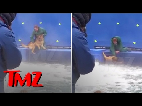 A DOG&#039;S PURPOSE&#039; TERRIFIED GERMAN SHEPHERD FORCED INTO TURBULENT WATER | TMZ