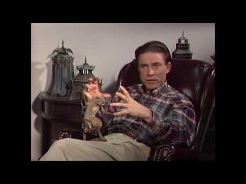 Interview with Stop Motion Animator David Allen
