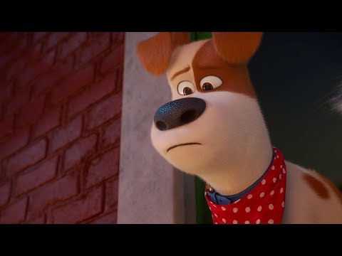 &#039;The Secret Life of Pets 2&#039; Official Trailer (2019) | Patton Oswalt, Kevin Hart, Tiffany Haddish