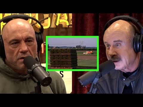 Dr. Phil on China Buying US Farmland