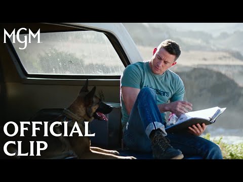 DOG | Briggs and Lulu - Official Clip | MGM Studios