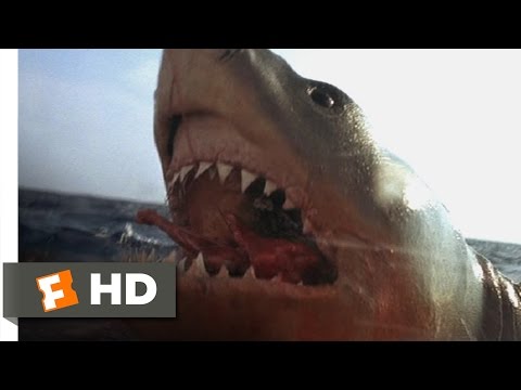 Jaws: The Revenge (3/8) Movie CLIP - You Got &#039;Im (1987) HD