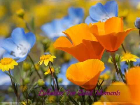 CHRISTIAN LULLABIES, For Quiet Moments