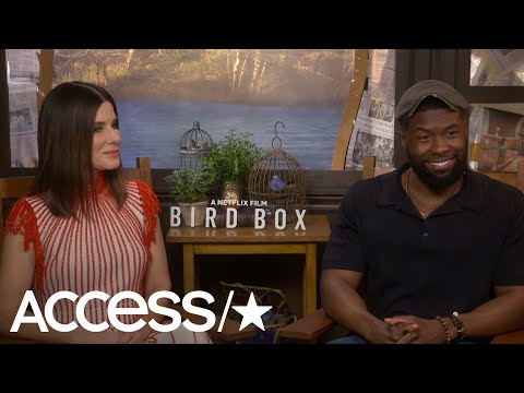 Sandra Bullock Jokes She &#039;Went To The Meryl [Streep] School Of River Rafting&#039; For &#039;Bird Box&#039; Scene