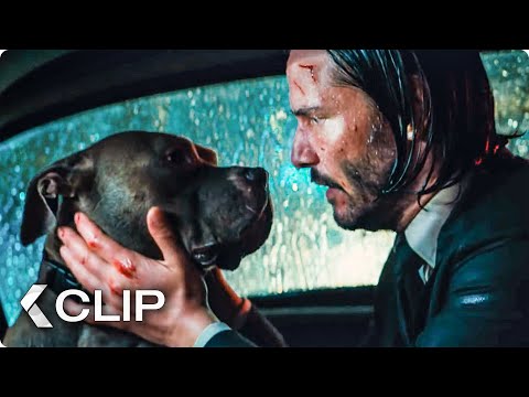 Good Dog Movie Clip - John Wick 3: Parabellum (2019)