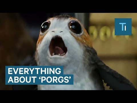 What Are Porgs From &#039;Star Wars: The Last Jedi?&#039;