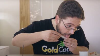 rolling papers documentary-