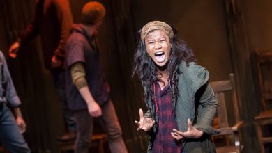 the-12-review-dcpa