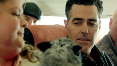 Adam Carolla and a dog on a plane