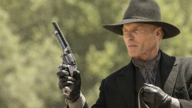 westworld-chestnut