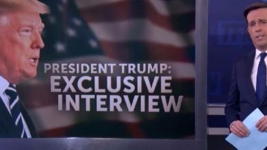 fake-news-ted-nelms-review