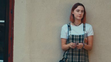 lady bird dfcs best picture
