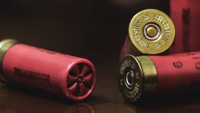 celebrities-guns-nra-gop