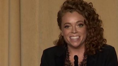 michelle wolf WHCD