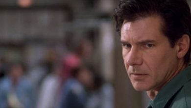 the fugitive 25 year anniversary (1)
