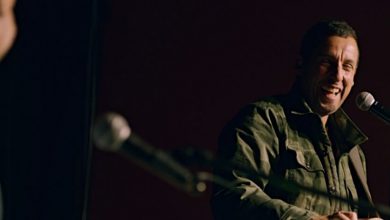 adam sandler 100 Fresh review