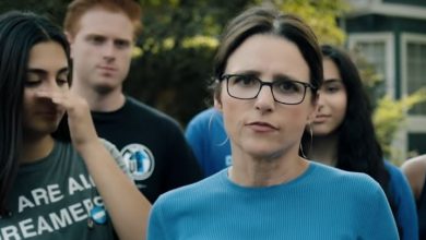 hollywood trump nazi julia louis dreyfus