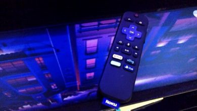 roku streaming stick remote