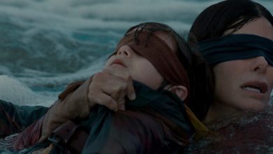 BIRD_BOX_review sandra bullock