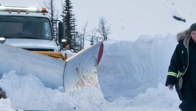 cold pursuit review denver