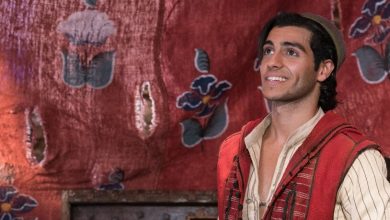 Aladdin CAIR movie critics reviewers