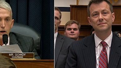 fbi lovebirds strzok gowdy