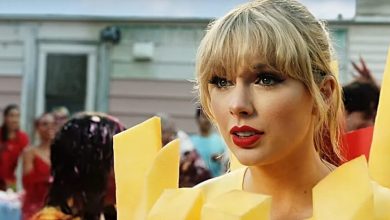 taylor swift calm down video