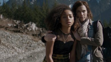 the perfection review