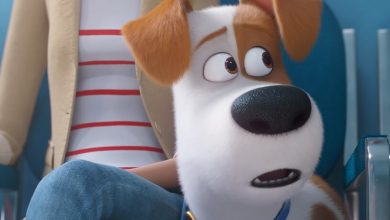 the-secret-life-of-pets-2-marriage masculinity