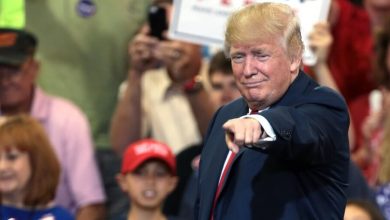 hollywood boycott over donald trump