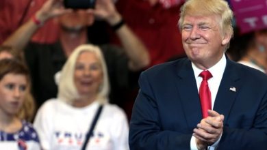 hollywood resistance donald trump (1)