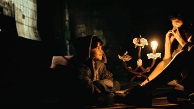 Tigers Are Not Afraid-review