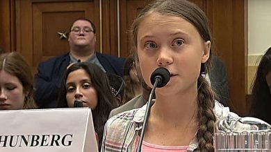 greta thunberg climate strike study