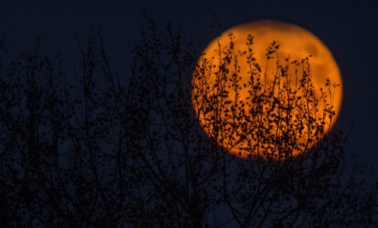 orange moon