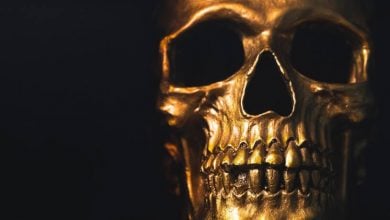 terror in the aisles skull