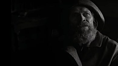 the lighthouse review