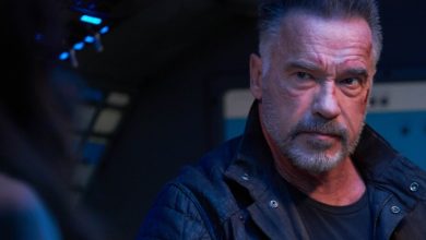 arnold schwarzenegger terminator dark fate box office
