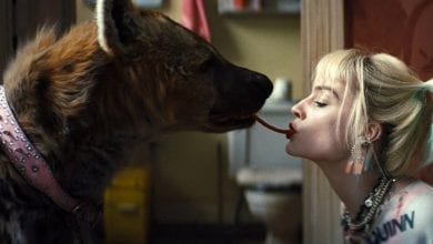 birds of prey box office flop
